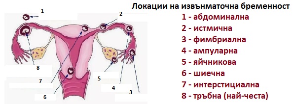 Рициново масло за коса 02