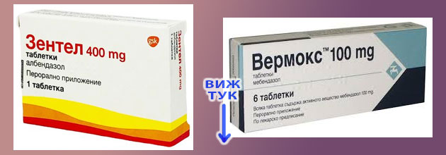 Tikveni Semki Sutrin Na Gladno 01