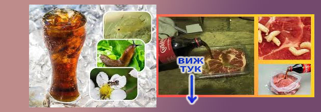 Tikveni Semki Sutrin Na Gladno 03