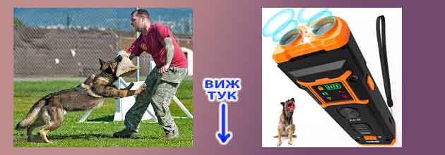 най добрия кучегон мнения 5